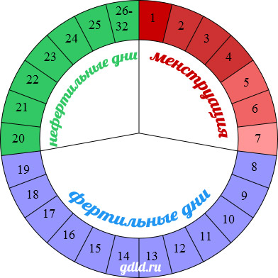 Календарный метод контрацепции - метод Огино-Кнауса