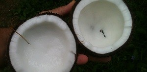 масло кокоса и майонез для волос